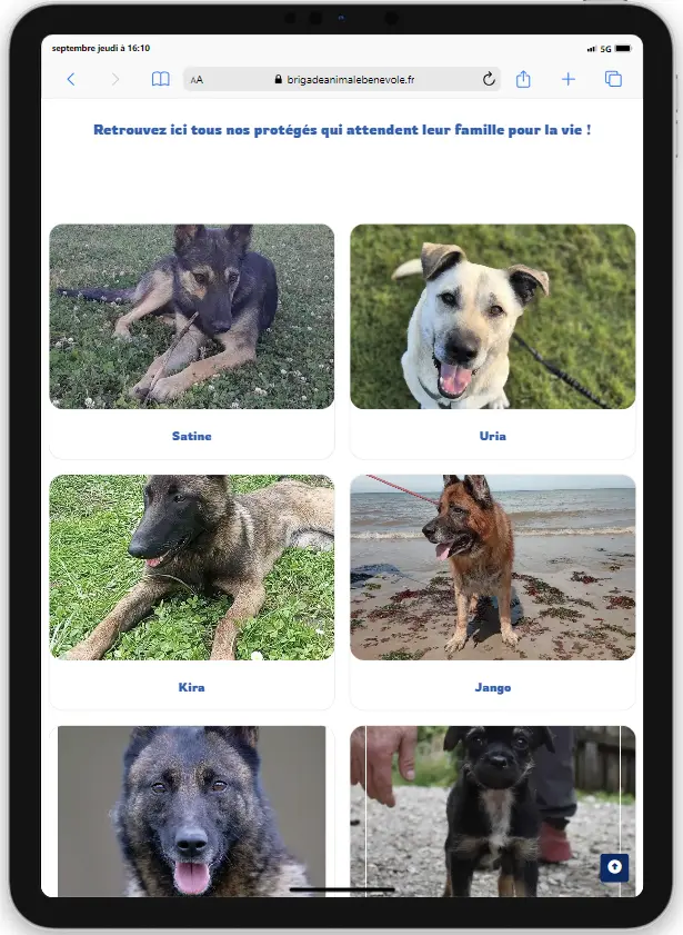 site web brigade animale bénévole sur tablette
