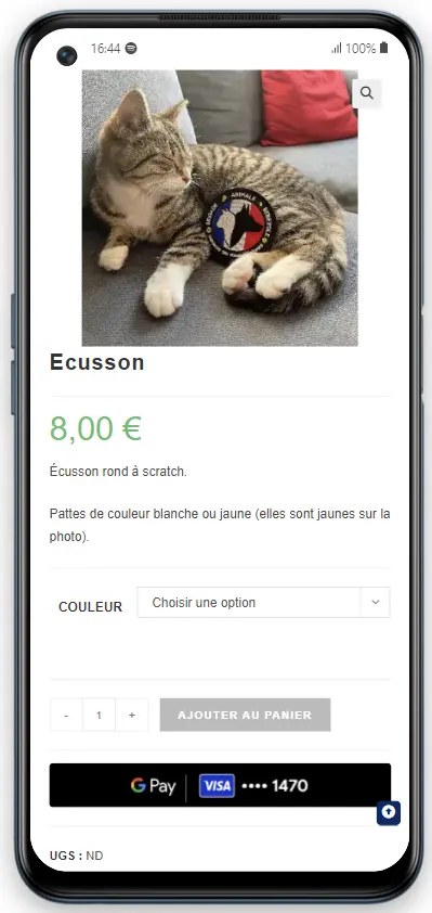 site web BAB smartphone