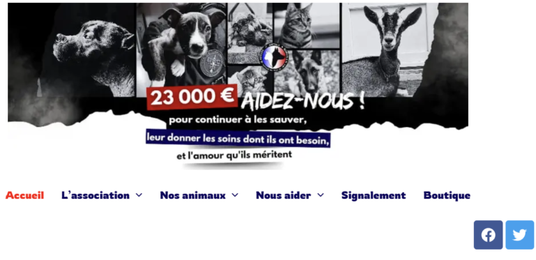 Read more about the article Brigade animale bénévole